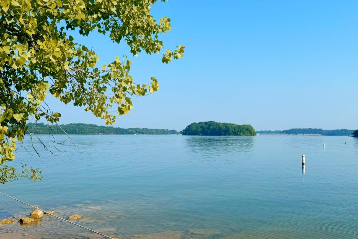 Percy Priest Dam Dog Park dog park