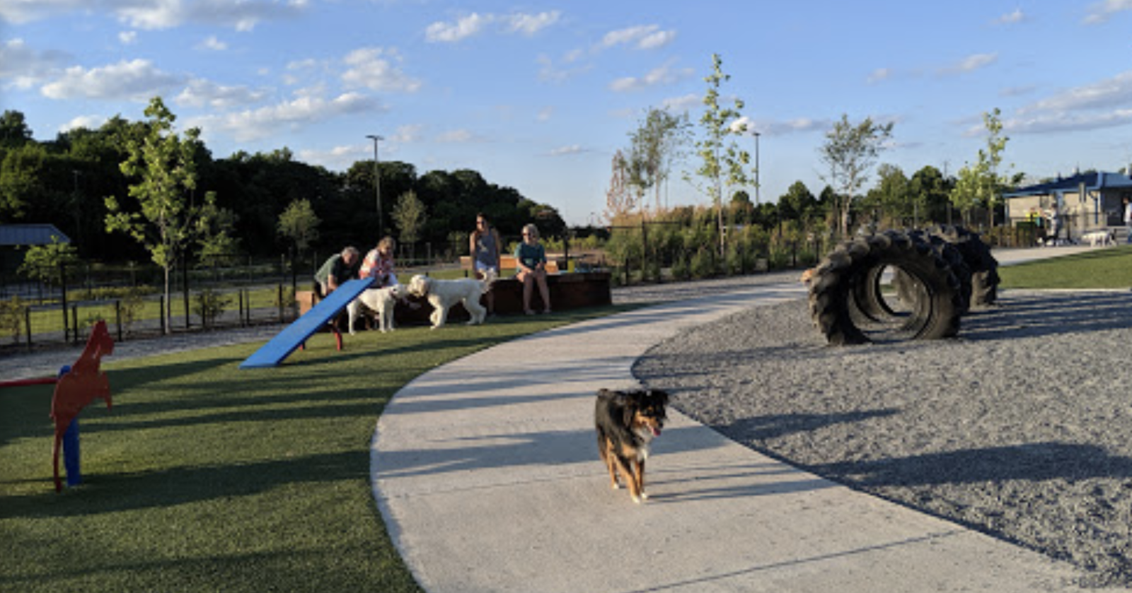 Riverfront Park Dog Park dog park