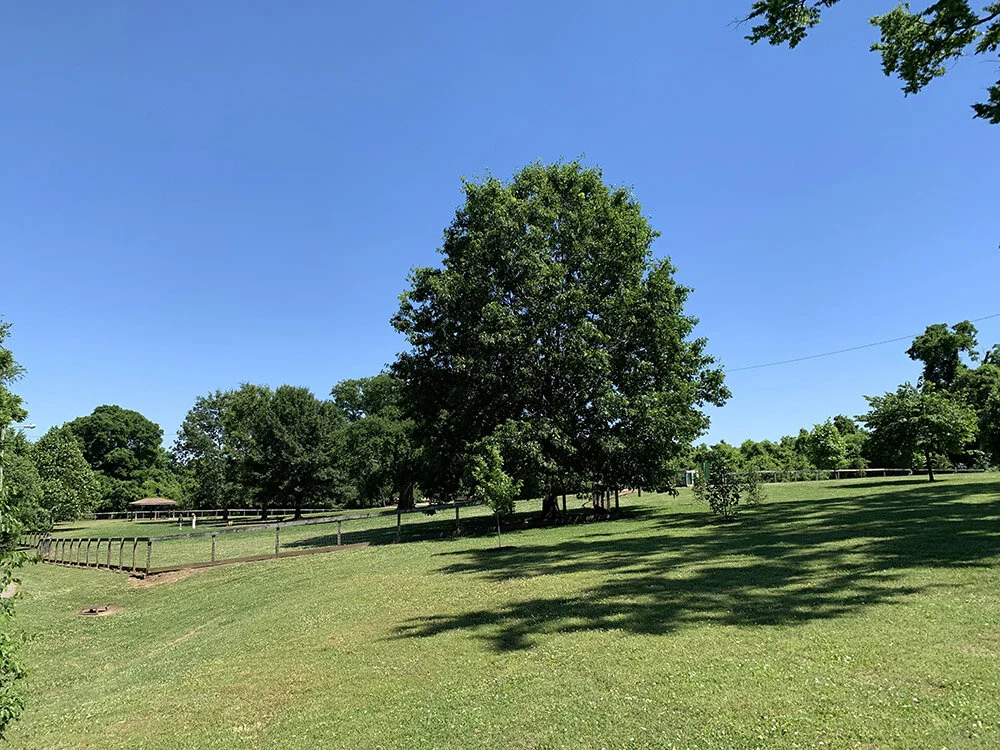 Shelby Dog Park dog park